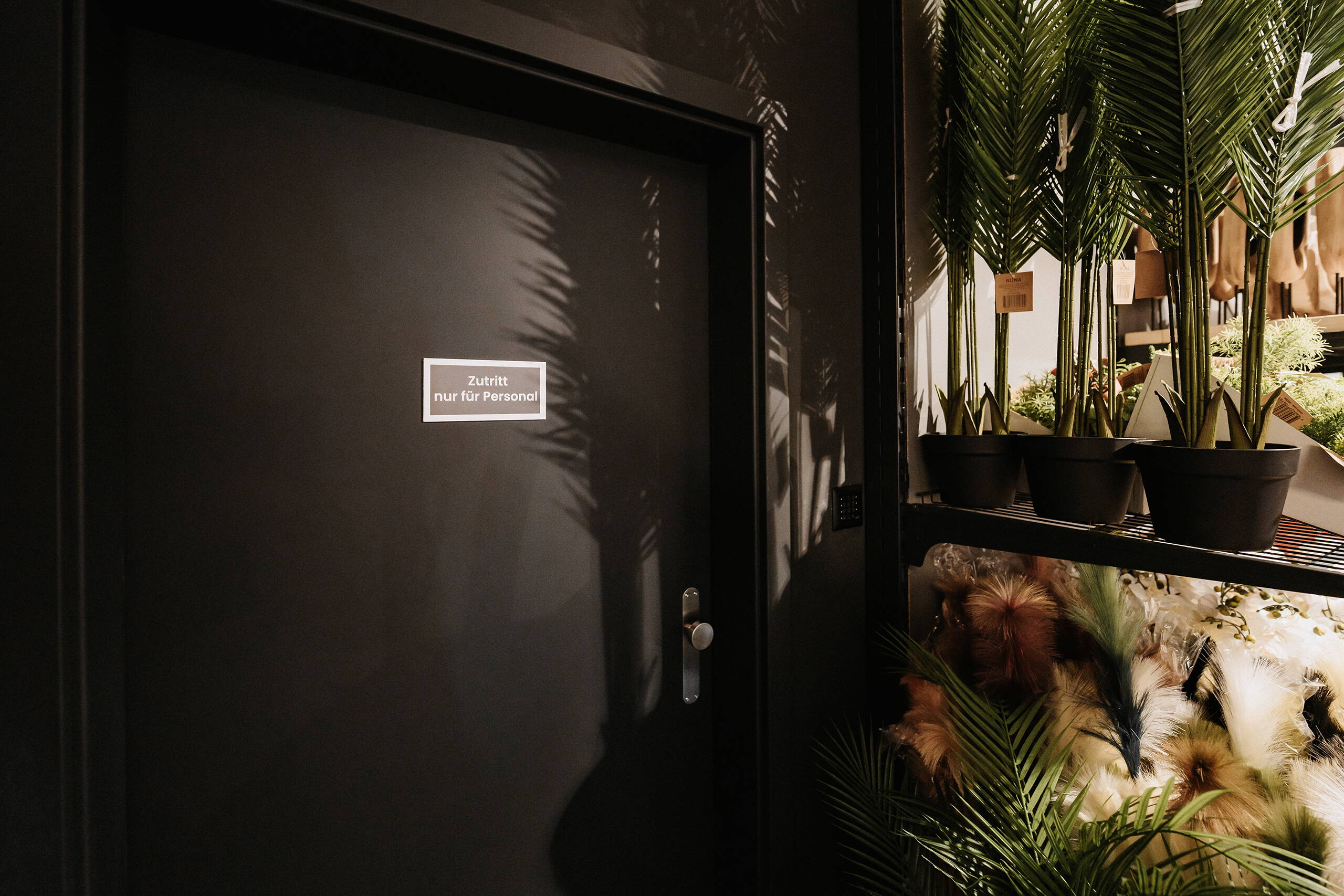 Zoom: Conforama Matten – W Werk Türen & Räume